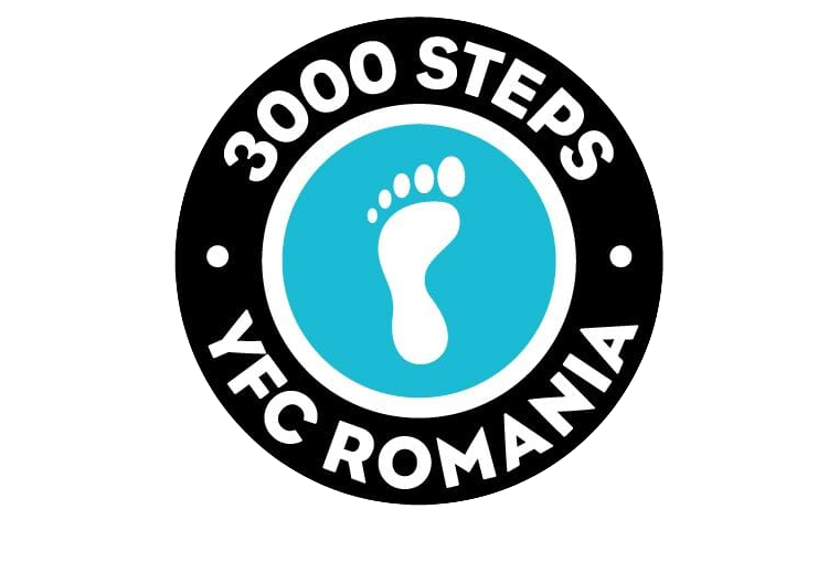 3000 Steps